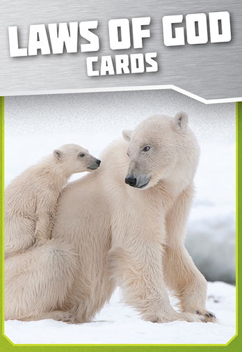 Laws of God Science Cards