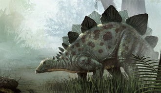 What Really Happened to the Dinosaurs?