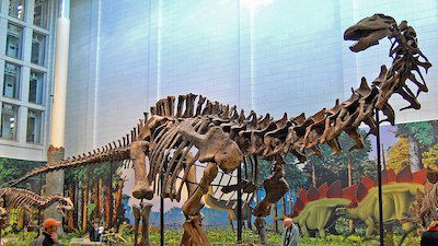 Dinosaurs!