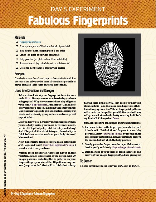 Fabulous Fingerprints