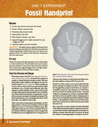 Fossil Handprint