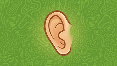 Ear