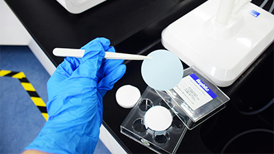 What Does Microplastics Contamination Have to Do with Creation?
