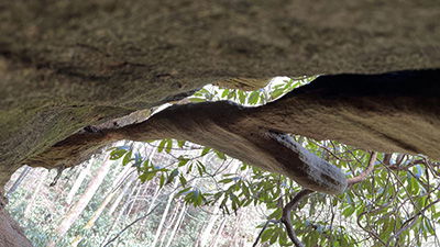 Moose Head Arch: RIP