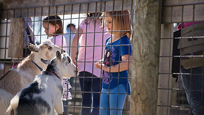 Join Us for Animal Enrichment Workshops at the Creation Museum