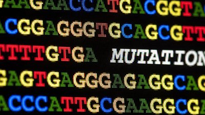 Can Genetic Mutations Be Purged from the Genome?