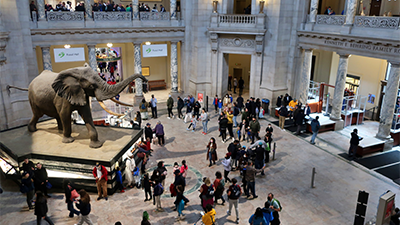 6 Tips for Touring an Evolutionary Natural History Museum