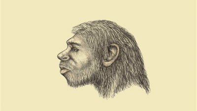 Did a “Human Ancestor” Walk like Us but Climb like Apes?