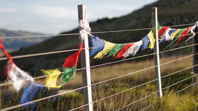 360° in 180 - Unlocking facts about faith in New Zealand (Part 7)