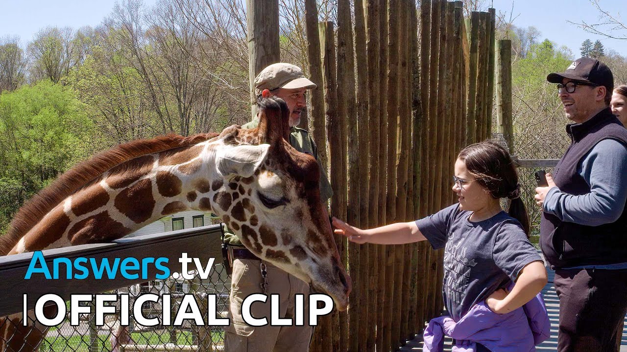 Kashtan’s Wildlife in the Zoo / Official Clip / Hiring New Zookeepers