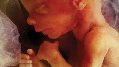 NY Takes the Culture of Death One Step Further