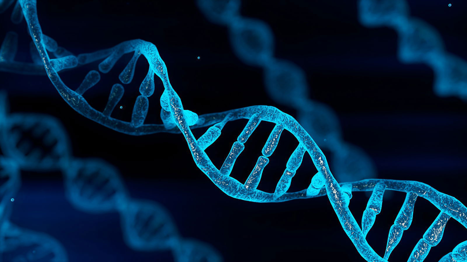 Latest in DNA Research Destroys Evolutionary “Proof”