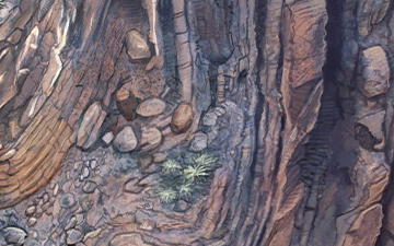 The Petrology of the Muav Formation, Tonto Group, Grand Canyon, Arizona