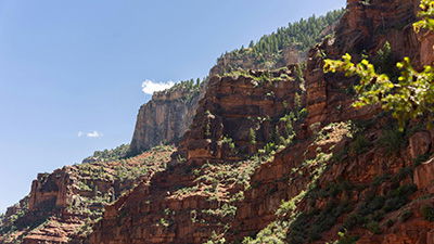 Responding to “Peaceful Science” Critics on Grand Canyon Evidence