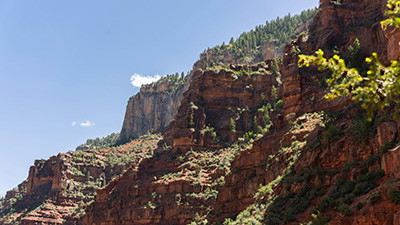 Responding to “Peaceful Science” Critics on Grand Canyon Evidence