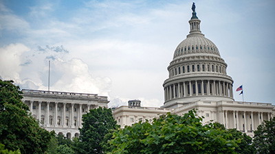 What Is the Role of Government?