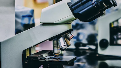 Science Fields and Methodology Came from a Christian Worldview