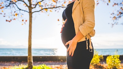 Study: Pregnancy Not a “Power Struggle” but “Finely-Tuned Collaboration”