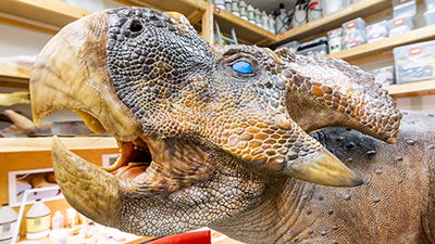 Exhibit Update: Most Detailed Protoceratops in the World