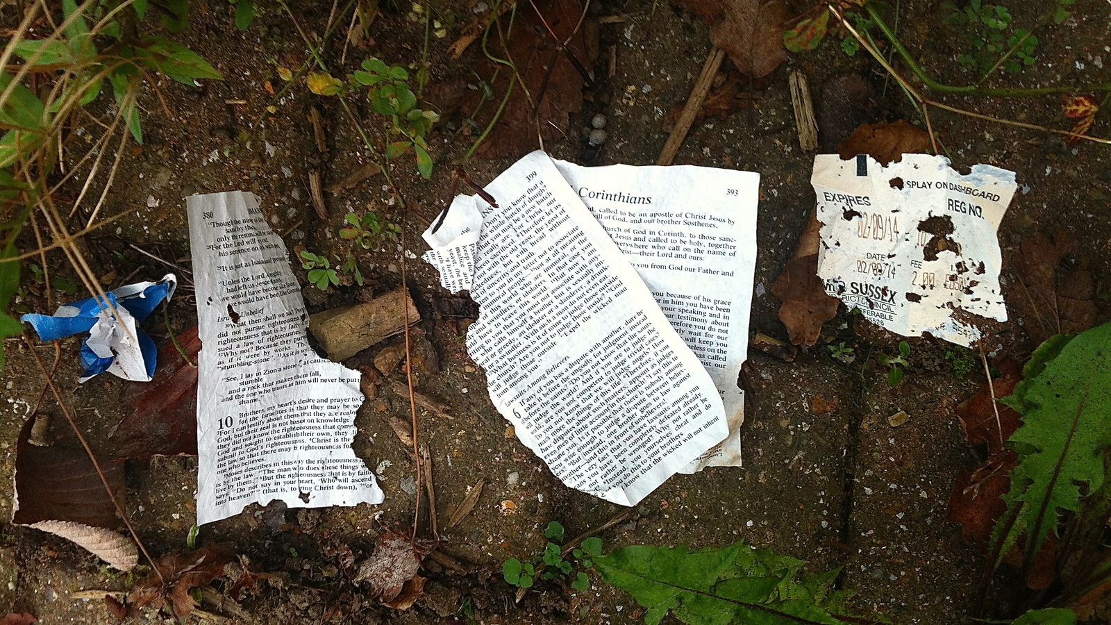 Can the Bible Justify Anything and Everything?