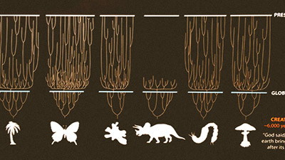If the Earth Is Young, How Are There So Many Species?