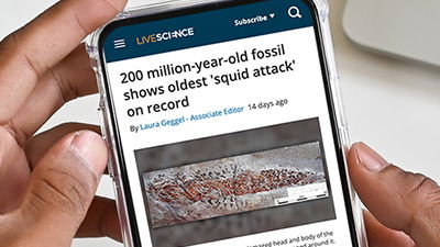 Squid Was Fossilized Catching Its Dinner