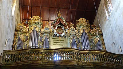 360° in 180—The Hidden History of Evolutionary Thinking in Germany (Part 23)