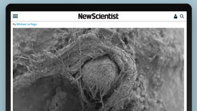 Study: Neanderthals Made String