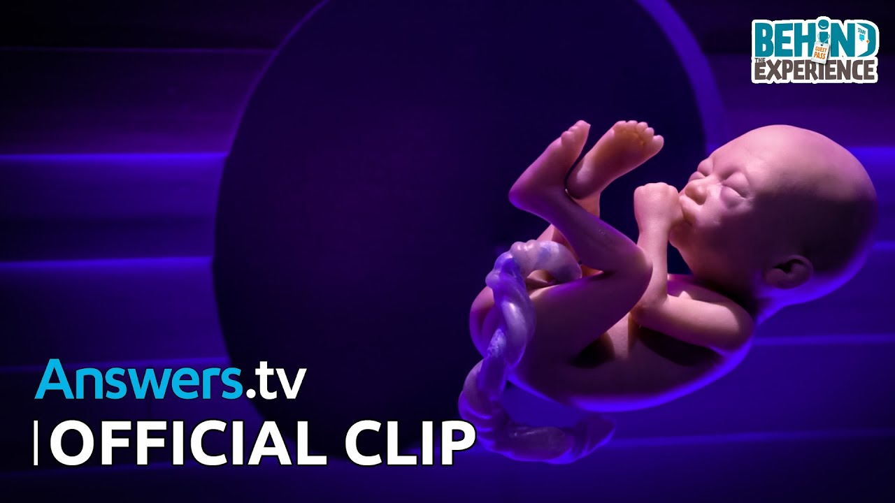 Fearfully & Wonderfully Made / Official Clip / Behind the Experience