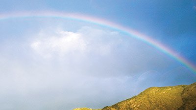 God Invented the Rainbow and Marriage—Not the President