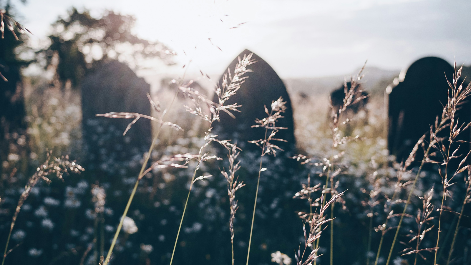 All of This Death Has Got Me Thinking