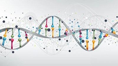 Material suplementario de Traced (Trazado): La gran sorpresa sobre el ADN humano