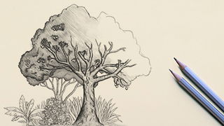 Why Did God Let the Tree of the Knowledge of Good and Evil Grow?