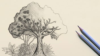 Why Did God Let the Tree of the Knowledge of Good and Evil Grow?