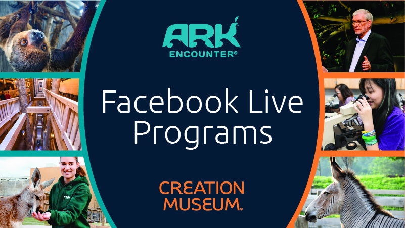 Our New Facebook Live Programs Are Getting Popular