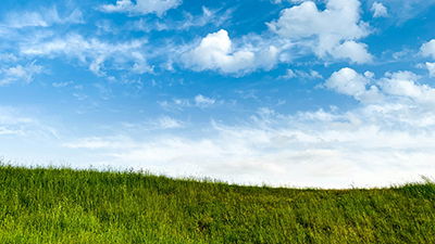 The Calm Before the Storm