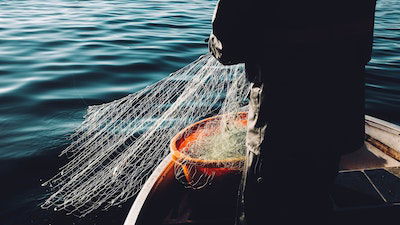 A Fish Story Full of Holes?