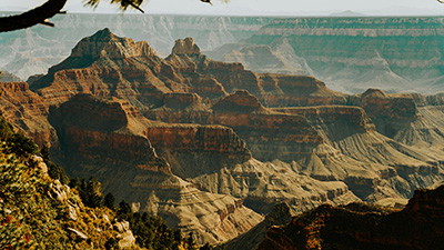 Responding to BioLogos’ Tactics on Their Opposition to Young-Earth Flood Geology