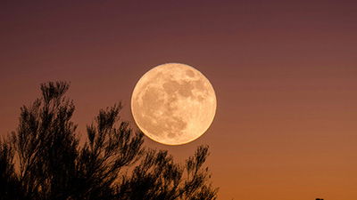 A Walk on the Beach, a Walk on the Moon, and Newton’s Third Law
