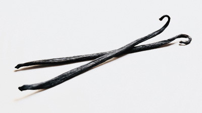 Not Just Another “Vanilla” Archaeological Find