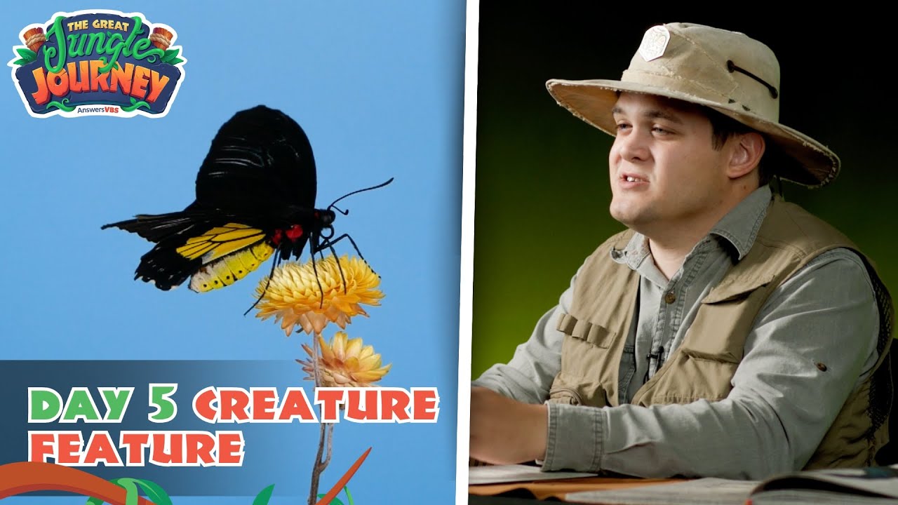 Beautiful Bird-Wing Butterfly! Creature Feature: Day 5 | The Great Jungle Journey VBS