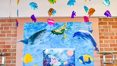 Turn Your Church into an Aussie Paradise: 6 Decor Ideas for an Australia-Themed VBS