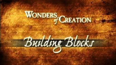 The Building Blocks of Life