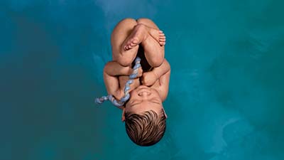 The Wonder of Life in the Womb