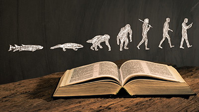 Did the Apostle Paul Speak Against Evolution?