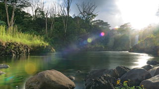 Will the New Earth Be Like the Garden of Eden?