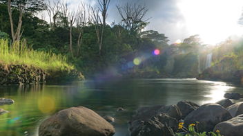 Will the New Earth Be Like the Garden of Eden?