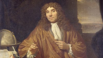 Celebrating Leeuwenhoek’s Life 300 Years Later