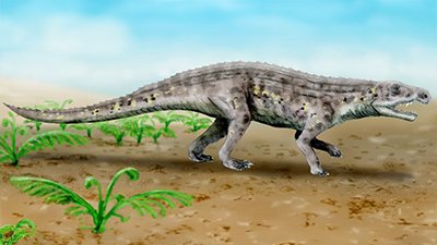Early Dinosaurs Thrived by Becoming Bipedal?