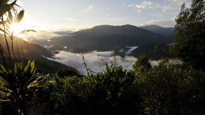 Misty Mountain Is a Metaphor for Life